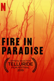 Hỏa hoạn tại Paradise